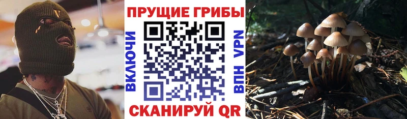 маркетплейс наркотические препараты  сколько стоит  Пущино  Галлюциногенные грибы мицелий 